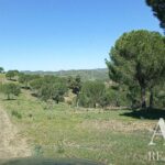 Farmhouse 19-bedroom for sale in São Bartolomeu de Messines, Silves, Algarve • ARE67581 - gallery image