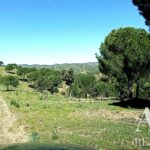 Farmhouse 19-bedroom for sale in São Bartolomeu de Messines, Silves, Algarve • ARE67581 - gallery image