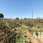 Farmhouse 4-bedroom for sale in Odiáxere, Lagos, Algarve • ARE67580 - gallery image