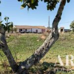 Farmhouse 4-bedroom for sale in Odiáxere, Lagos, Algarve • ARE67580 - gallery image
