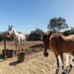 Farmhouse 4-bedroom for sale in Odiáxere, Lagos, Algarve • ARE67580 - gallery image