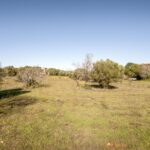 Farmhouse 4-bedroom for sale in Alcantarilha e Pêra, Silves, Algarve &bull; ARE93592 - gallery image