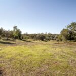 Farmhouse 4-bedroom for sale in Alcantarilha e Pêra, Silves, Algarve &bull; ARE93592 - gallery image