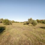 Farmhouse 4-bedroom for sale in Alcantarilha e Pêra, Silves, Algarve &bull; ARE93592 - gallery image