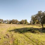 Farmhouse 4-bedroom for sale in Alcantarilha e Pêra, Silves, Algarve &bull; ARE93592 - gallery image