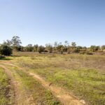 Farmhouse 4-bedroom for sale in Alcantarilha e Pêra, Silves, Algarve &bull; ARE93592 - gallery image
