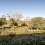 Farmhouse 4-bedroom for sale in Alcantarilha e Pêra, Silves, Algarve &bull; ARE93592 - gallery image