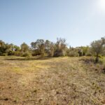 Farmhouse 4-bedroom for sale in Alcantarilha e Pêra, Silves, Algarve &bull; ARE93592 - gallery image