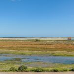 Apartment 1-bedroom for sale in Moncarapacho e Fuseta, Olhão, Algarve &bull; ARE96502 - gallery image