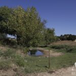 Farmhouse of Madeira Velha with 4-bedroom for sale in Redondo, Évora &bull; ARE79765 - gallery image