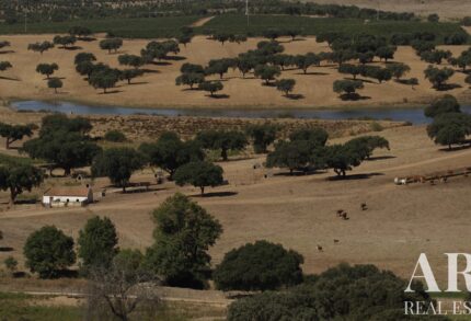 Farmhouse 4-bedroom for sale in Redondo, Évora &bull; ARE79765