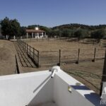 Farmhouse of Madeira Velha with 4-bedroom for sale in Redondo, Évora &bull; ARE79765 - gallery image