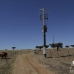 Farmhouse of Madeira Velha with 4-bedroom for sale in Redondo, Évora &bull; ARE79765 - gallery image