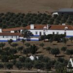 Farmhouse of Madeira Velha with 4-bedroom for sale in Redondo, Évora &bull; ARE79765 - gallery image
