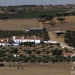 Farmhouse of Madeira Velha with 4-bedroom for sale in Redondo, Évora &bull; ARE79765 - gallery image