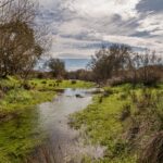 Farmhouse 2-bedroom for sale in Panoias e Conceição, Ourique, Beja &bull; ARE86586 - gallery image
