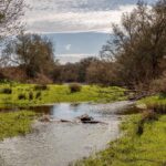 Farmhouse 2-bedroom for sale in Panoias e Conceição, Ourique, Beja &bull; ARE86586 - gallery image