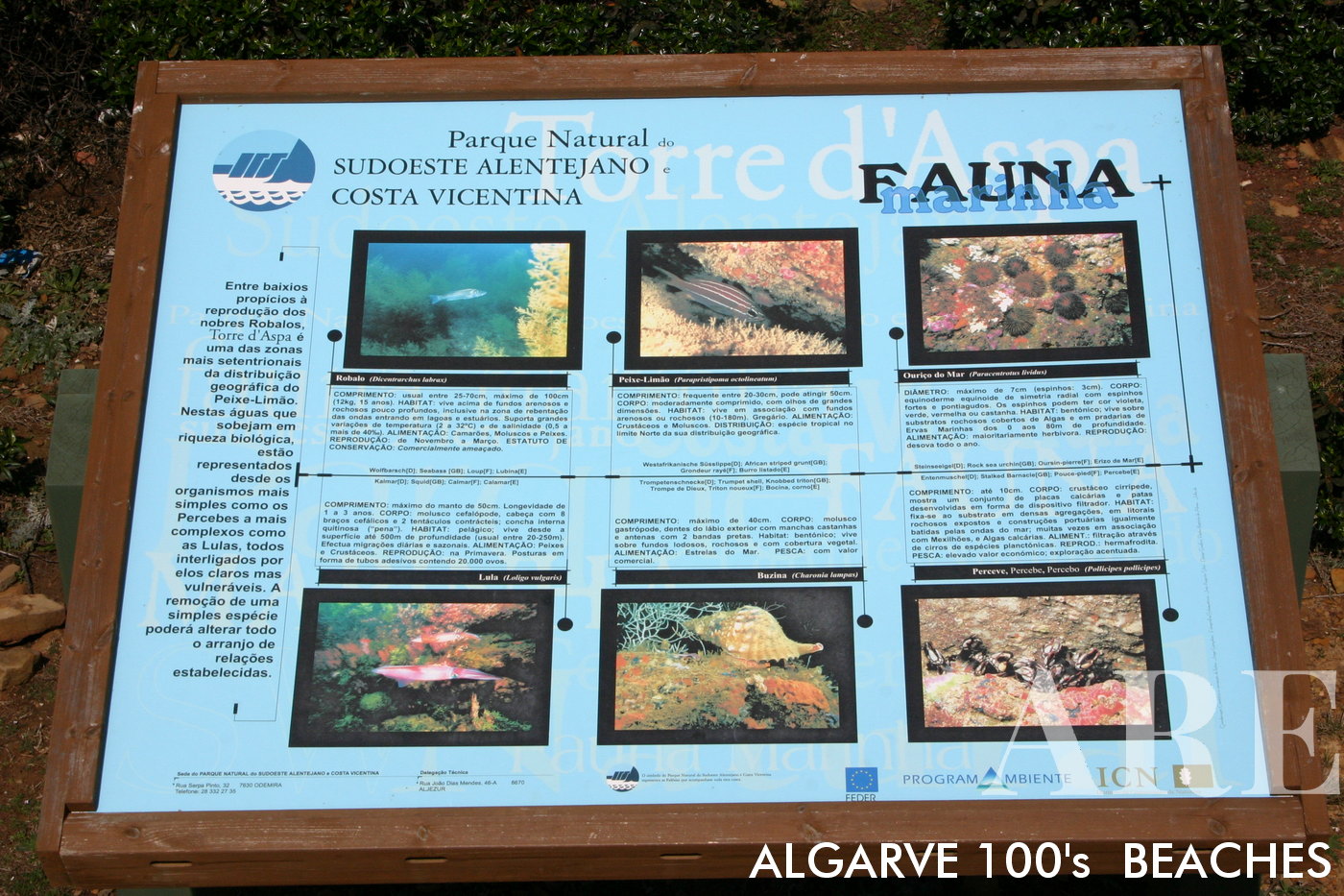 Uma exposição da Costa Vicentina & Fauna local do Sudoeste Alentejano apresentada num painel informativo municipal, mostrando a rica biodiversidade da região e o compromisso com a conservação.