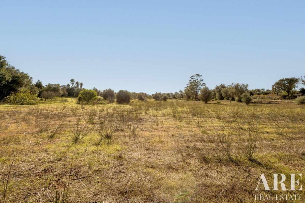 Land for sale in Alcantarilha e Pêra, Silves, Algarve &bull; ARE93912