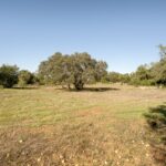 Land for sale in Alcantarilha e Pêra, Silves, Algarve &bull; ARE93912 - gallery image