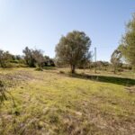 Land for sale in Alcantarilha e Pêra, Silves, Algarve &bull; ARE93912 - gallery image