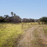 Land for sale in Alcantarilha e Pêra, Silves, Algarve &bull; ARE93912 - gallery image