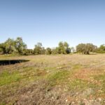 Land for sale in Alcantarilha e Pêra, Silves, Algarve &bull; ARE93912 - gallery image