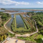 Villa 6-bedroom for sale in Quinta das Salinas, Quinta do Lago, Algarve • ARE85797 - gallery image