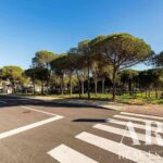 Land for sale in Montenegro, Faro &bull; ARE69281 - gallery image